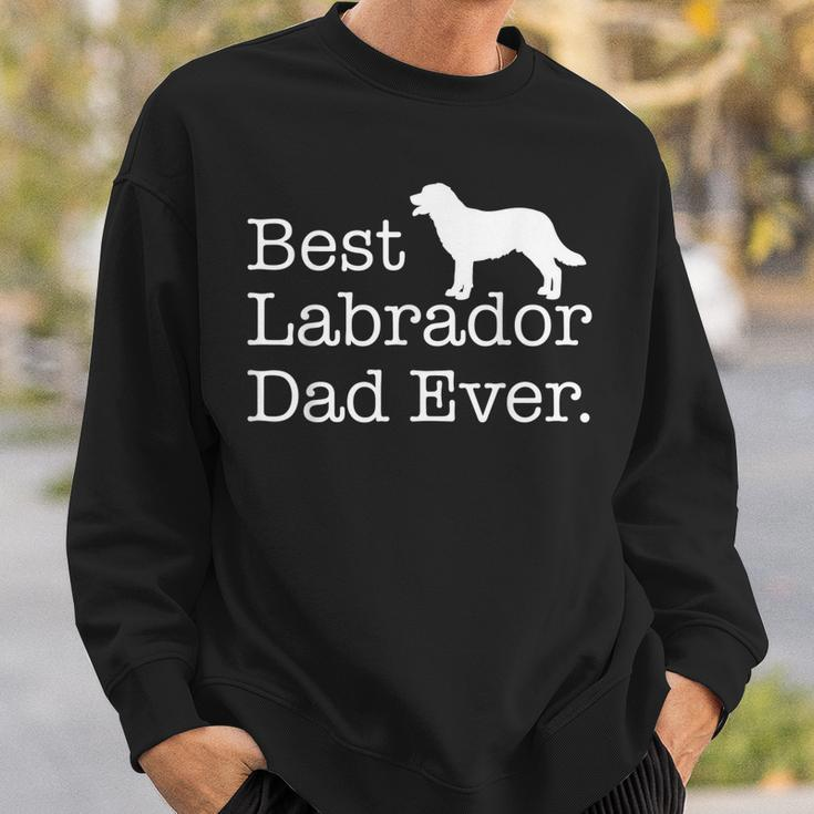 Best Labrador Dad EverPet Kitten Animal Parenting Sweatshirt Gifts for Him