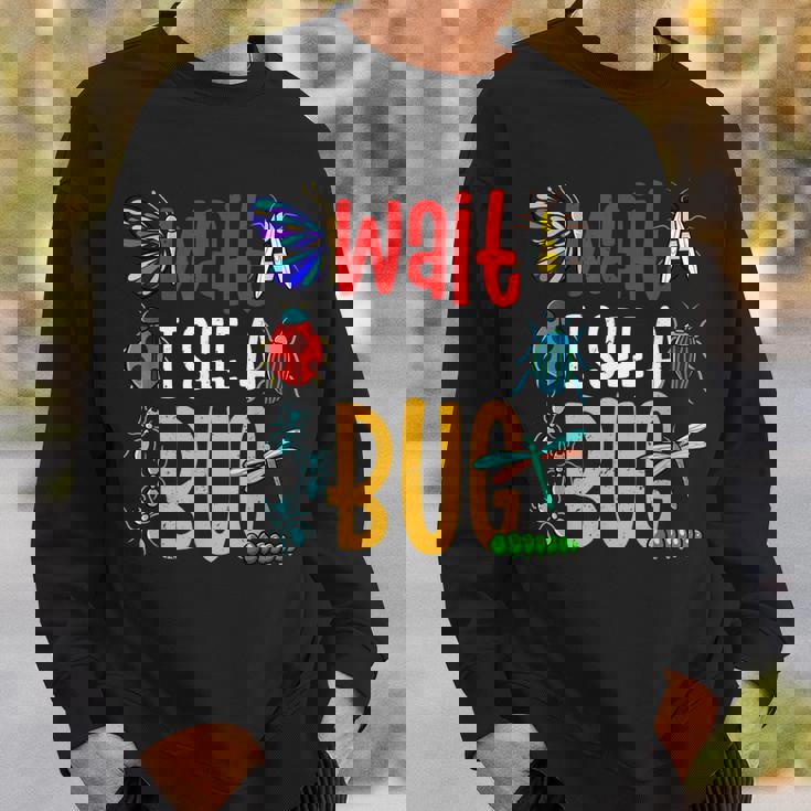 Bug Lover Insect Catcher Insect Bug Sweatshirt Gifts for Him