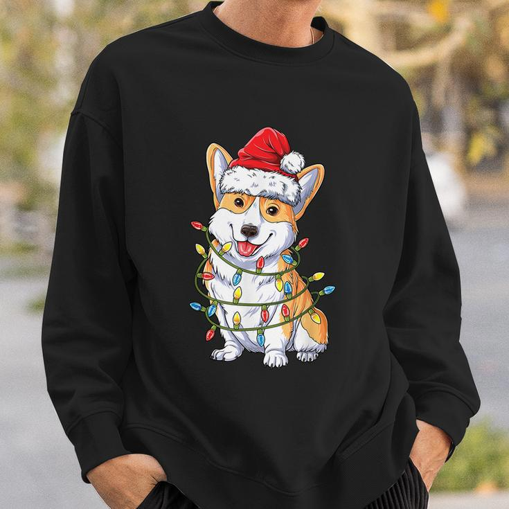 Corgi Santa Christmas Tree Lights Xmas Boys Men Corgmas Dog Tshirt Sweatshirt Gifts for Him