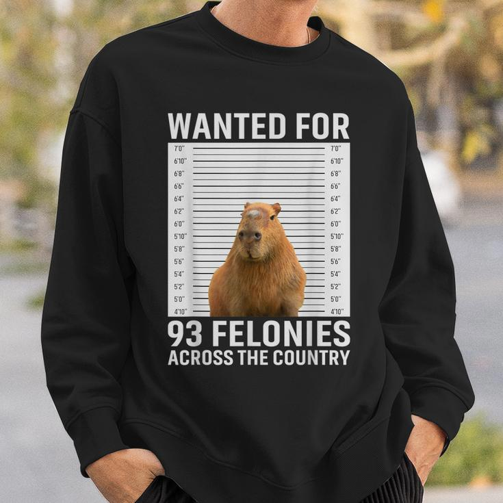 Funny Capybara Hot For 93 Felonies Hilarious Capybara Sweatshirt Gifts for Him