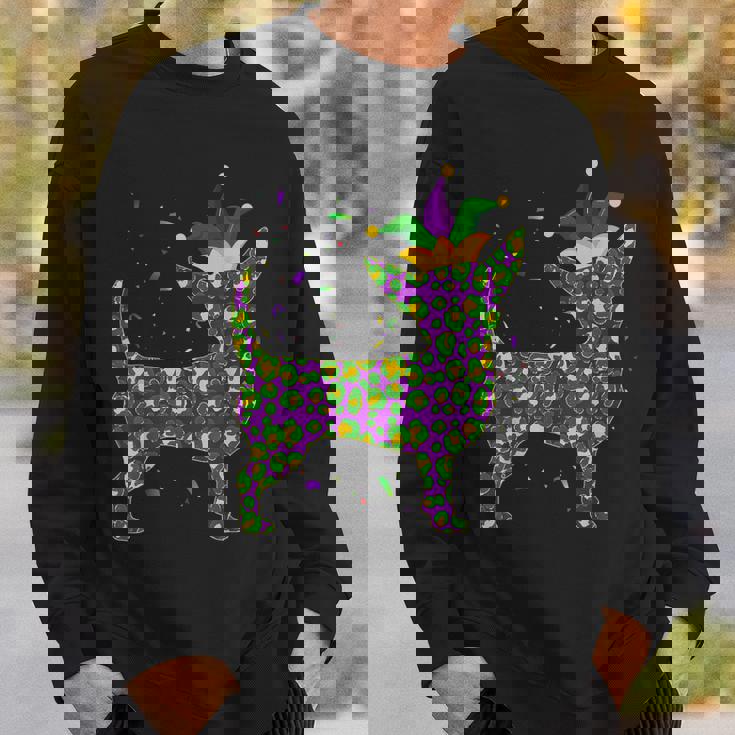 Funny Dog Mardi Gras Cute Leopard Chihuahua Puppy Lover Men Women Sweatshirt Graphic Print Unisex Gifts for Him