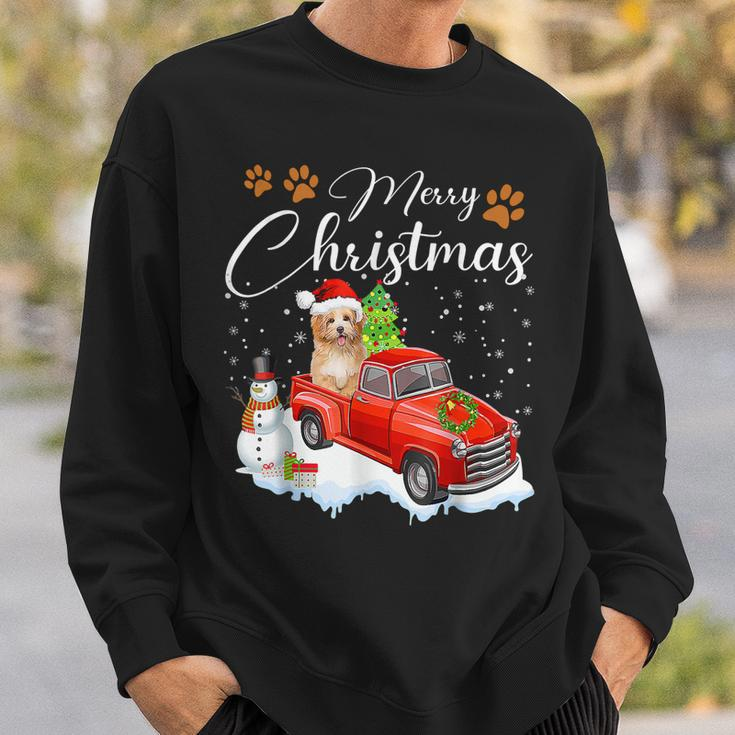 Funny Shih Tzu Dog Snow Red Truck Christmas Xmas Tree Pajama Men Women Sweatshirt Graphic Print Unisex Gifts for Him