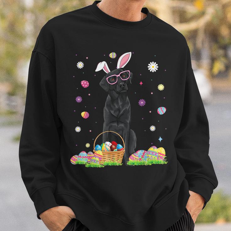 Bunny sweatshirt with ears on sale