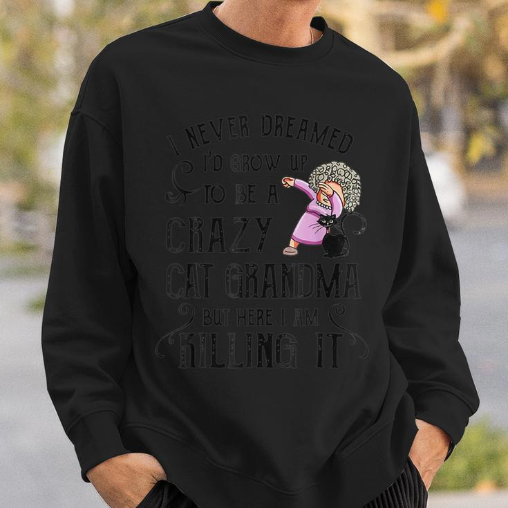 I Never Dreamed I D Grow Up O Be A Crazy Cat Grandma Mother Sweatshirt Gifts for Him