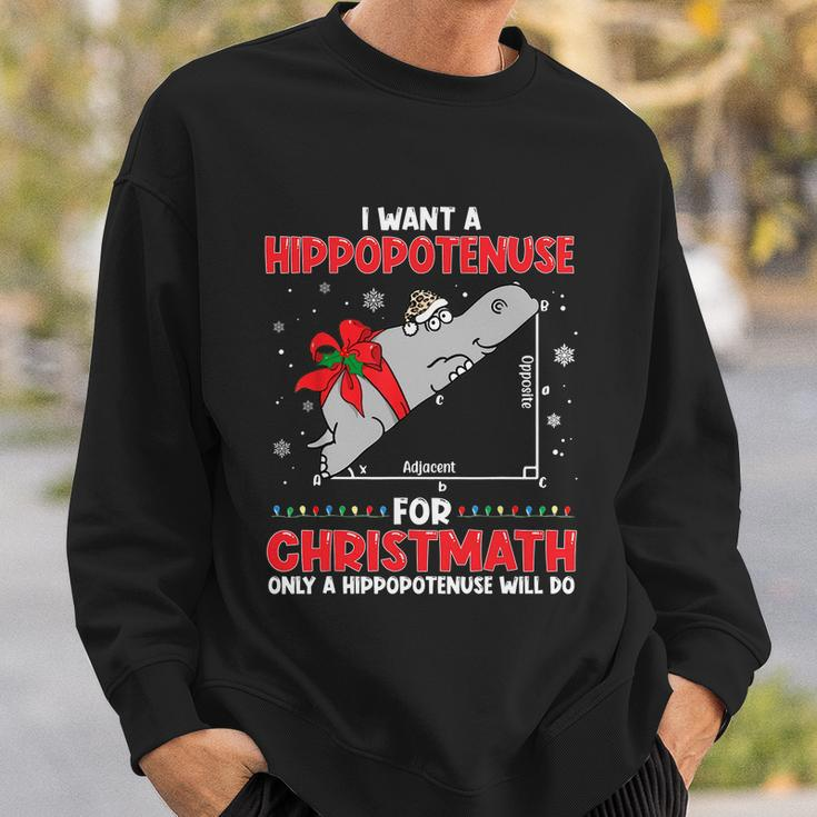 I Want A Hippopotenuse For Christmath Math Teacher Christmas Tshirt Sweatshirt Gifts for Him