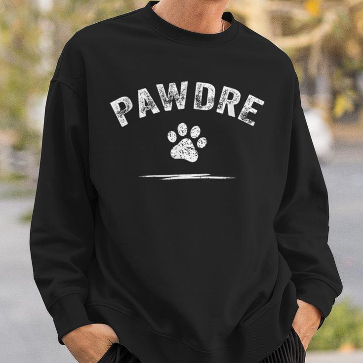 Mens Pawdre Cat Or Dog Dad Fathers Day V2 Sweatshirt Gifts for Him