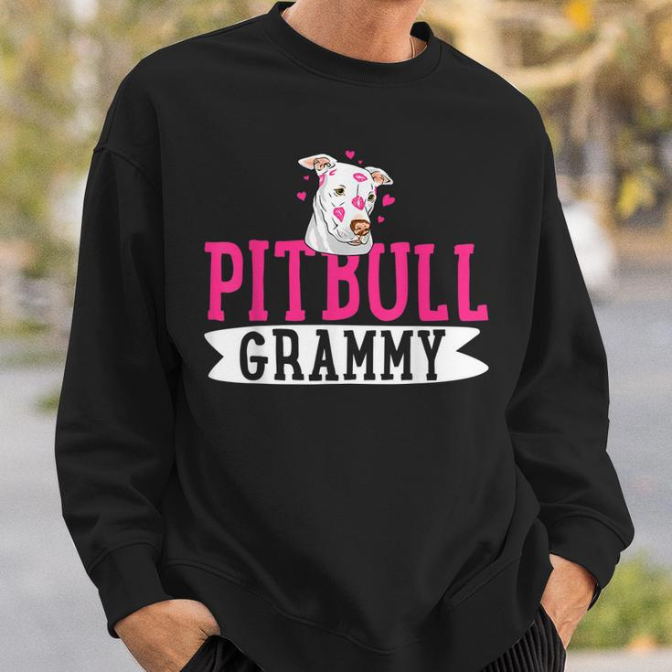 Pitbull Grammy Pit Bull Terrier Dog Pibble Mothers Day Men Women Sweatshirt Graphic Print Unisex Gifts for Him
