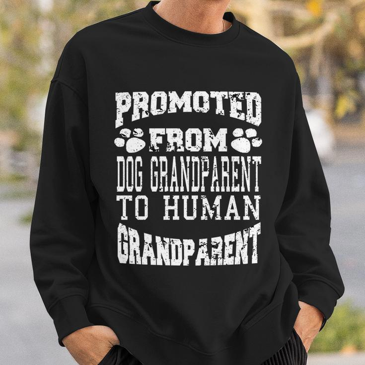 Promoted From Dog Grandparent To Human Grandparent Sweatshirt Gifts for Him