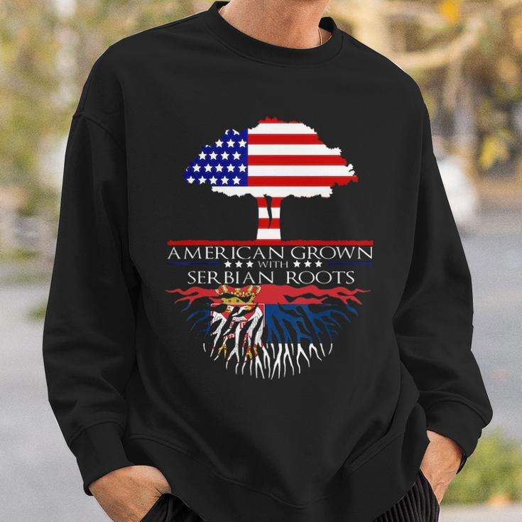 Serbian Roots American Grown Us Serbia Serb Flag Sweatshirt Gifts for Him