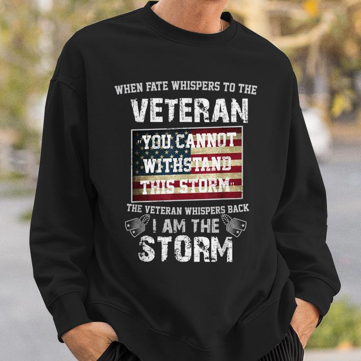 US Veteran I Am The Storm American Flag Sweatshirt Gifts for Him