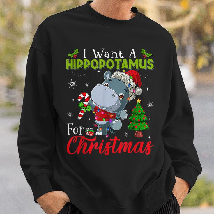 Xmas I Want A Hippopotamus For Christmas Hippo Candy V2 Men Women Sweatshirt Graphic Print Unisex Gifts for Him