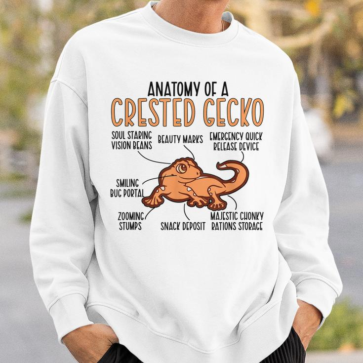 Anatomy Of A Crested Gecko Owner Crestie Lover Sweatshirt Gifts for Him