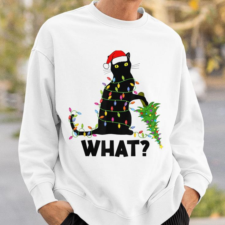 Funny Black Cat Pushing Christmas Tree Over Cat Christmas V2 Men Women Sweatshirt Graphic Print Unisex Gifts for Him