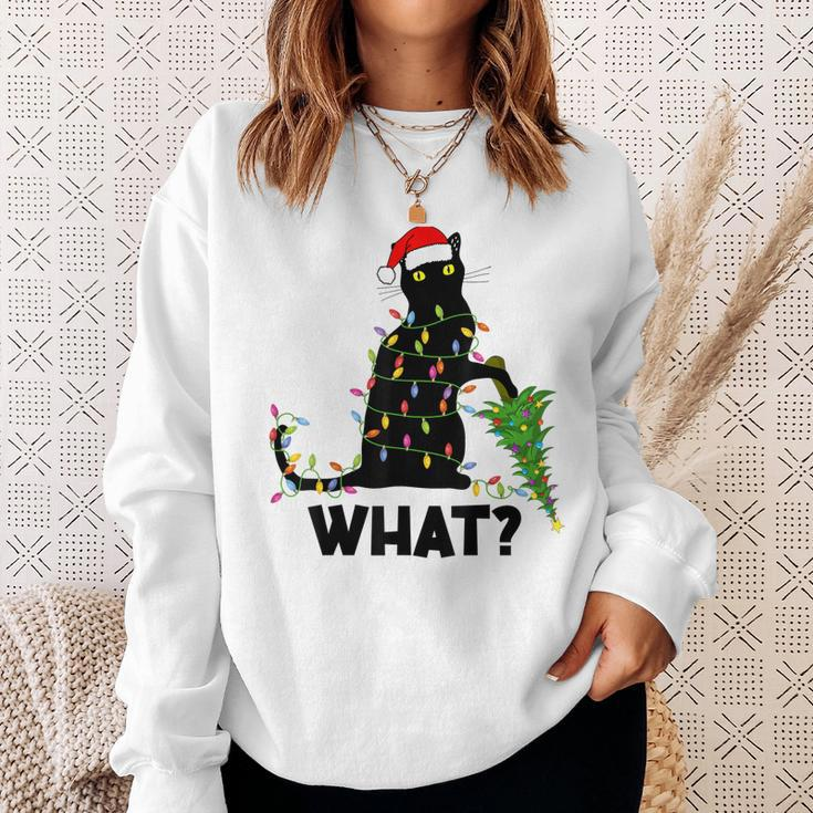 Funny Black Cat Pushing Christmas Tree Over Cat Christmas Men Women Sweatshirt Graphic Print Unisex Gifts for Her