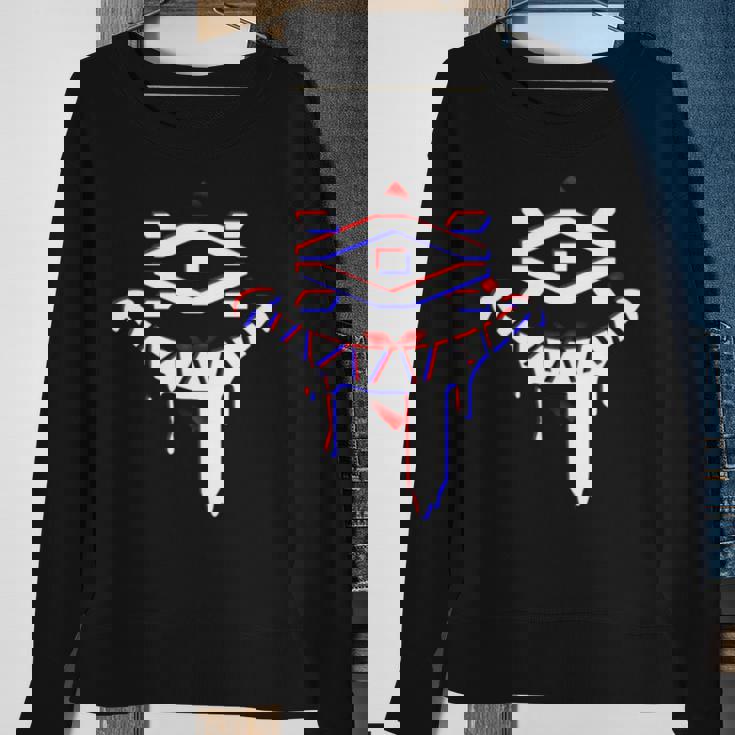 The Holy Order Of The Digital Hermit Astral Chain Sweatshirt Gifts for Old Women