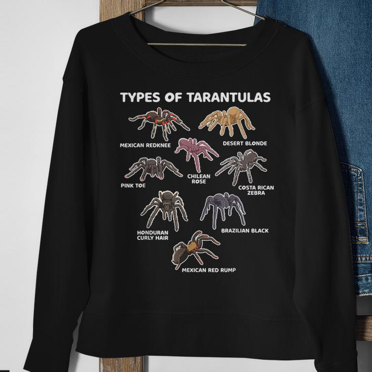 Types Of Tarantulas Pink Toe Chilean Mexican Hairy Spider Sweatshirt Gifts for Old Women