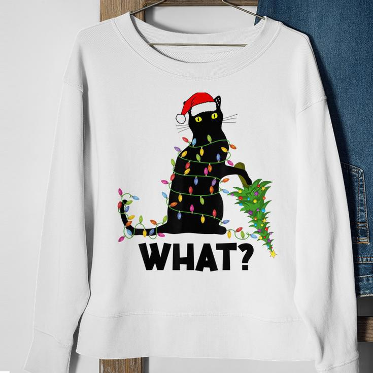 Funny Black Cat Pushing Christmas Tree Over Cat Christmas Men Women Sweatshirt Graphic Print Unisex Gifts for Old Women
