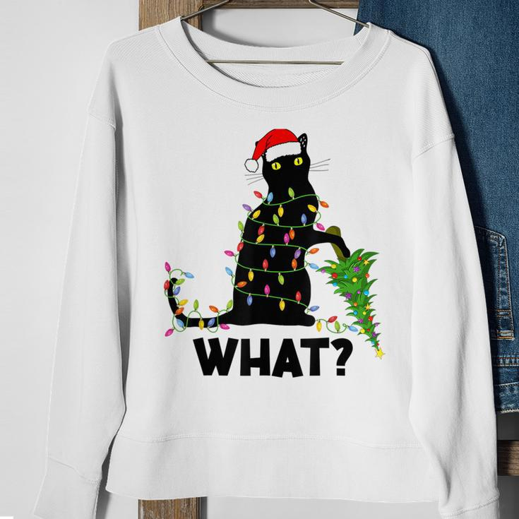 Funny Black Cat Pushing Christmas Tree Over Cat Christmas V2 Men Women Sweatshirt Graphic Print Unisex Gifts for Old Women