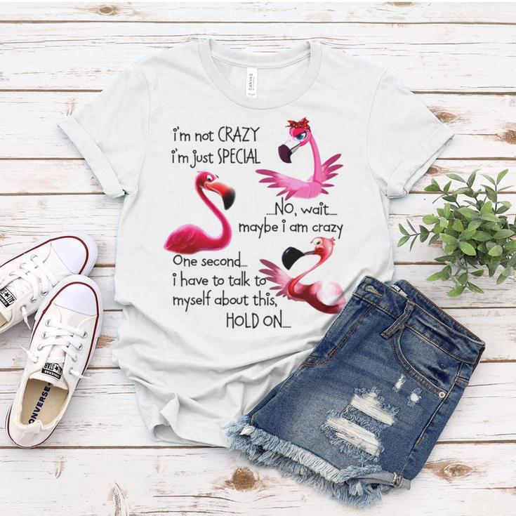 Flamingo I’M Not Crazy I’M Just Special No Wait Maybe I Am Crazy Women T-shirt Unique Gifts