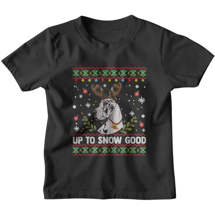 Harlequin Great Dane Dog Reindeer Ugly Christmas Sweater Great Gift Youth T-shirt