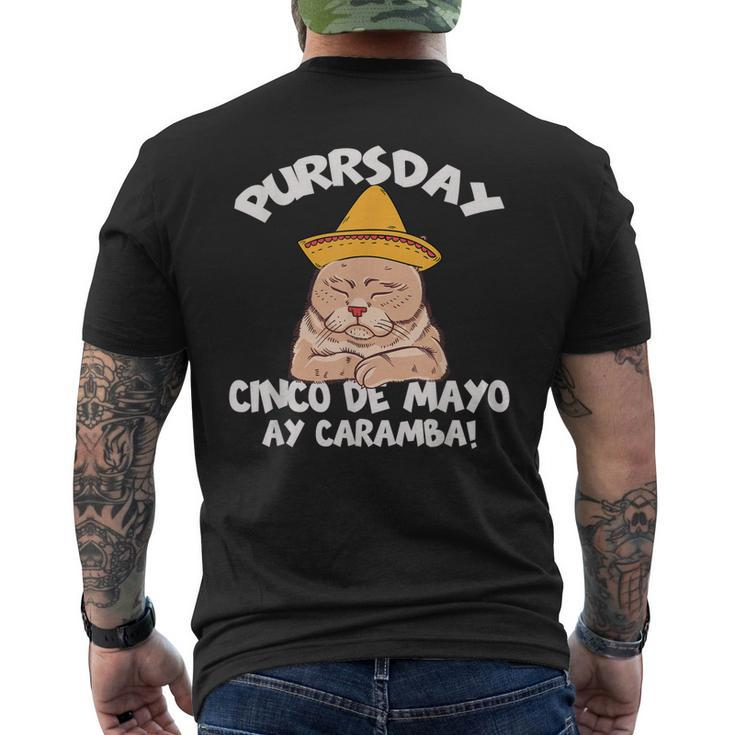 Cinco De Mayo Purrsday Cat Sombrero Mexican Party Cats Lover Men's Back Print T-shirt
