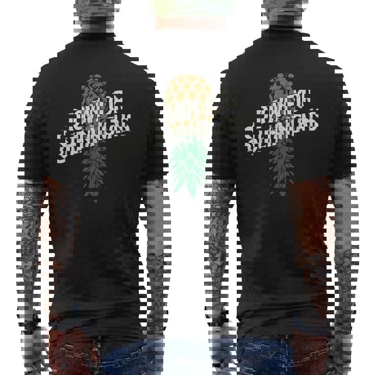 down-shenanigans-swinger-