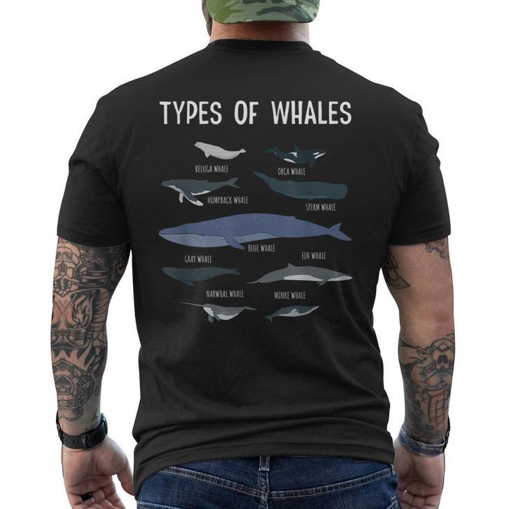Whale Lover Whale Lover Types Of Whales Men's Back Print T-shirt