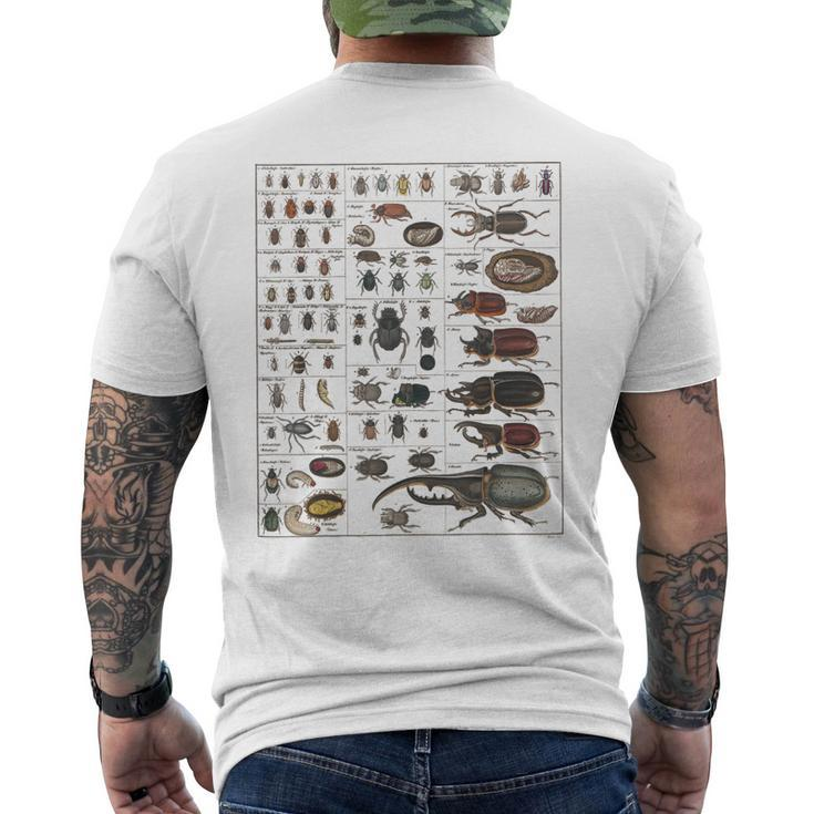 Insects Collection Species Bugs Vintage Chart Entomology Men's Back Print T-shirt