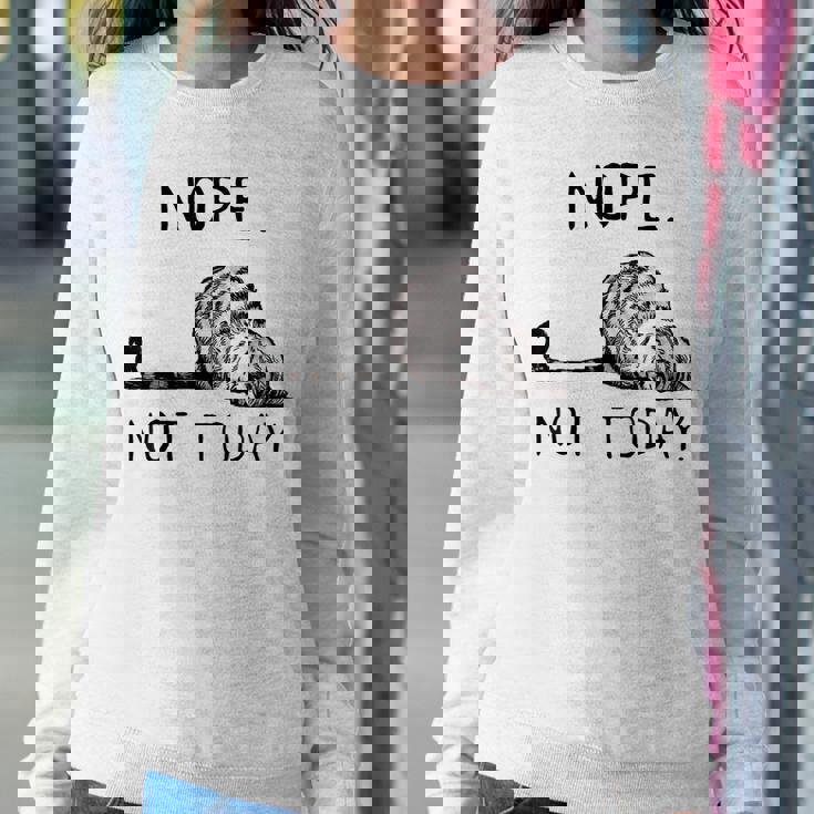 Nope Not Today Lazy Cat For Men Women Mom Kid Dad Women Sweatshirt Unique Gifts