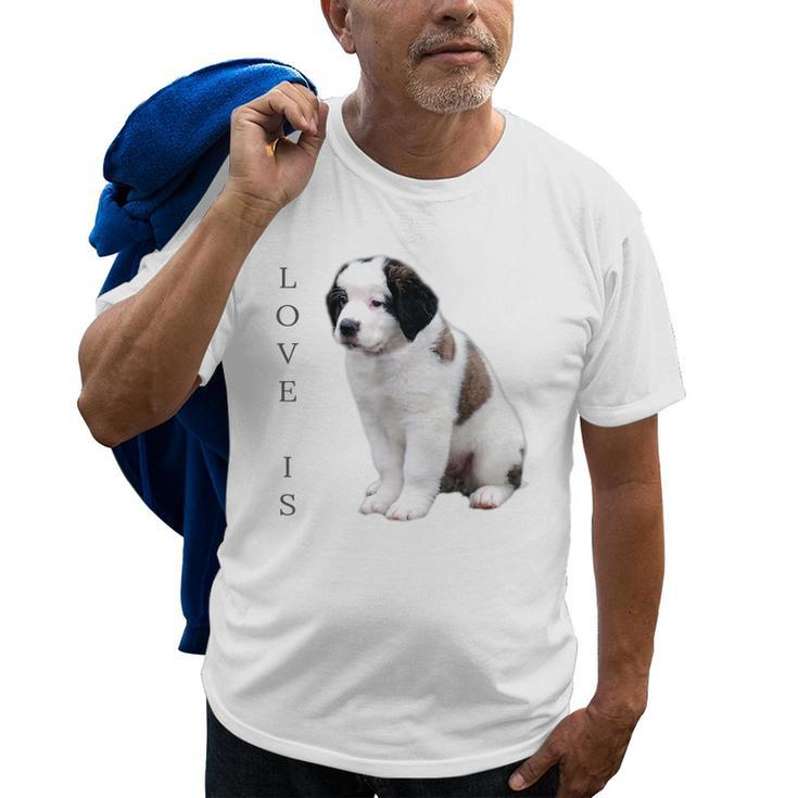 Saint Bernard  Women Men Kids Love Dog Mom Dad Pet Old Men T-shirt