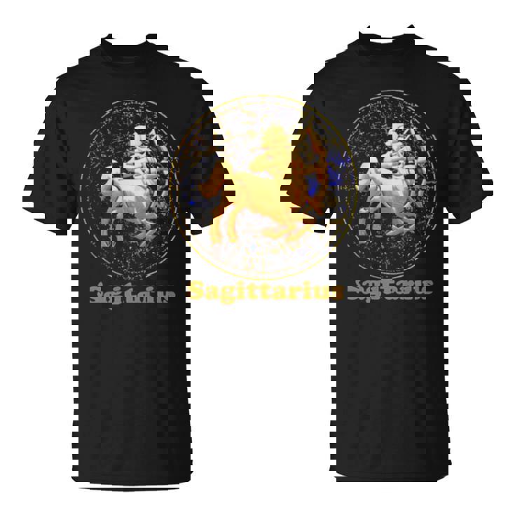A Zodiac Sign Test Sagittarius Zodiac Unisex T-Shirt