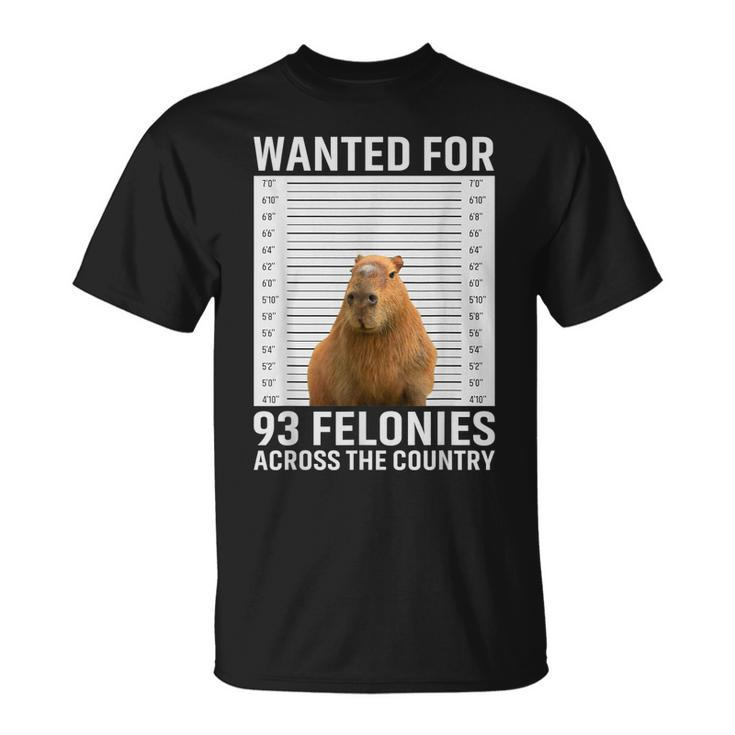 Funny Capybara Hot For 93 Felonies Hilarious Capybara  Unisex T-Shirt