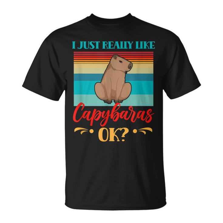I Just Really Like Capybaras Ok Capybara Rodent Animal  Unisex T-Shirt