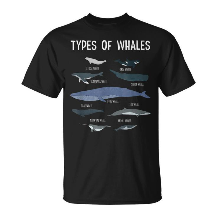 Whale Lover Whale Lover Gift Types Of Whales Unisex T-Shirt