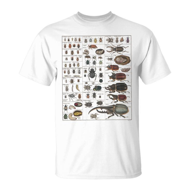 Insects Collection Species Bugs Vintage Chart Entomology  Unisex T-Shirt