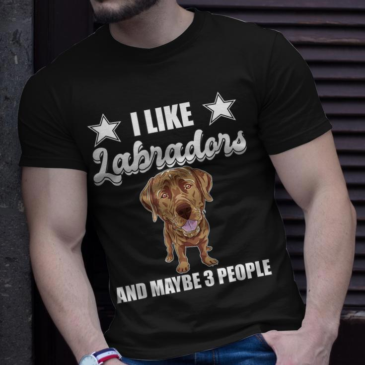 I Like Labradors Maybe 3 People Chocolate Lab Gift Labrador Unisex T-Shirt Gifts for Him