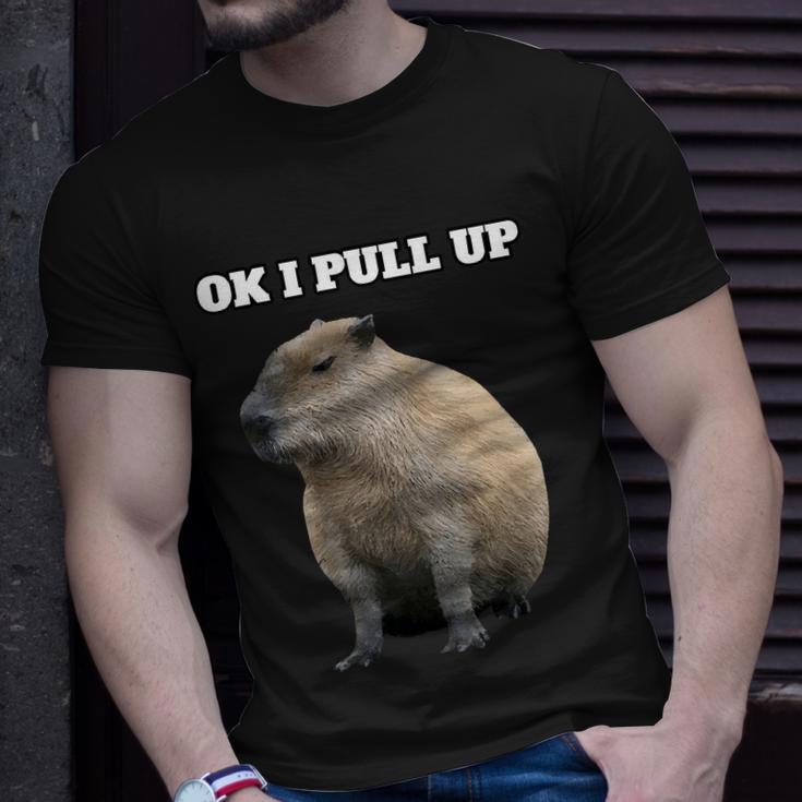 Ok I Pull Up Capybara V2 Unisex T-Shirt Gifts for Him