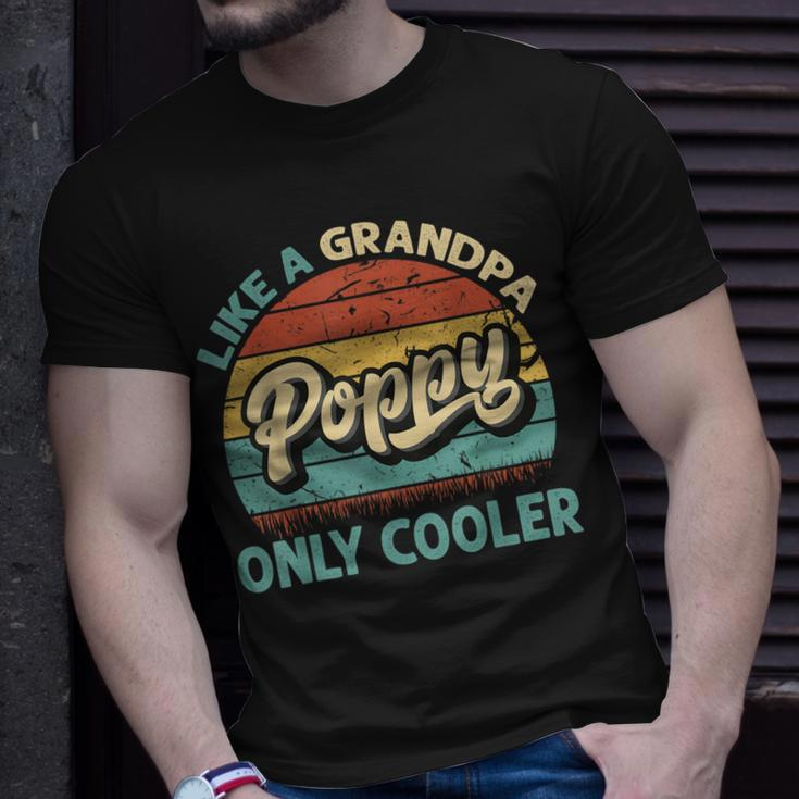 Mens Poppy Like A Grandpa Only Cooler Vintage Dad Fathers Day T-Shirt Gifts for Him