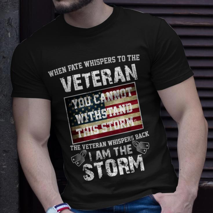 US Veteran I Am The Storm American Flag T-Shirt Gifts for Him