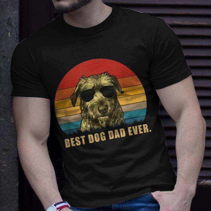 Vintage Best Dog Dad EverIrish Wolfhound T-Shirt Gifts for Him