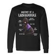 Poodle Lover Dog Anatomy Of A Labradoodle Labrador Retriever Poodle Puppy 278 Poodles Long Sleeve T-Shirt Gifts ideas