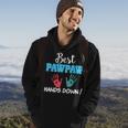 Best Pawpaw Hands Down Dad Grandpa Father Day Lovely Hoodie Lifestyle