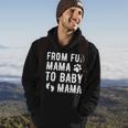 Womens From Fur Mama To Baby Mama Pregnant Dog Lover New Mom Mother Hoodie Lifestyle