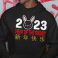 2023 Year Of The Rabbit Chinese New Year 2023 Rabbit Hoodie Funny Gifts