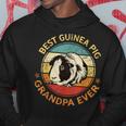 Best Guinea Pig Grandpa Ever Funny Fathers Day Gift For Mens Hoodie Funny Gifts