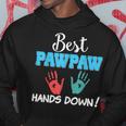 Best Pawpaw Hands Down Dad Grandpa Father Day Lovely Hoodie Unique Gifts