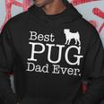 Best Pug Dad EverFunny Pet Kitten Animal Parenting Hoodie Unique Gifts
