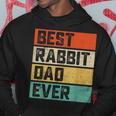 Best Rabbit Dad Ever Funny Rabbits Men Father Vintage Hoodie Funny Gifts