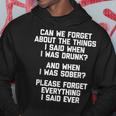 Can We Forget About The Things I Said When I Was Drunk V2 Hoodie Funny Gifts