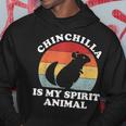 Chinchilla Ist Mein Geistertier Süßer Tierliebhaber Hoodie Lustige Geschenke
